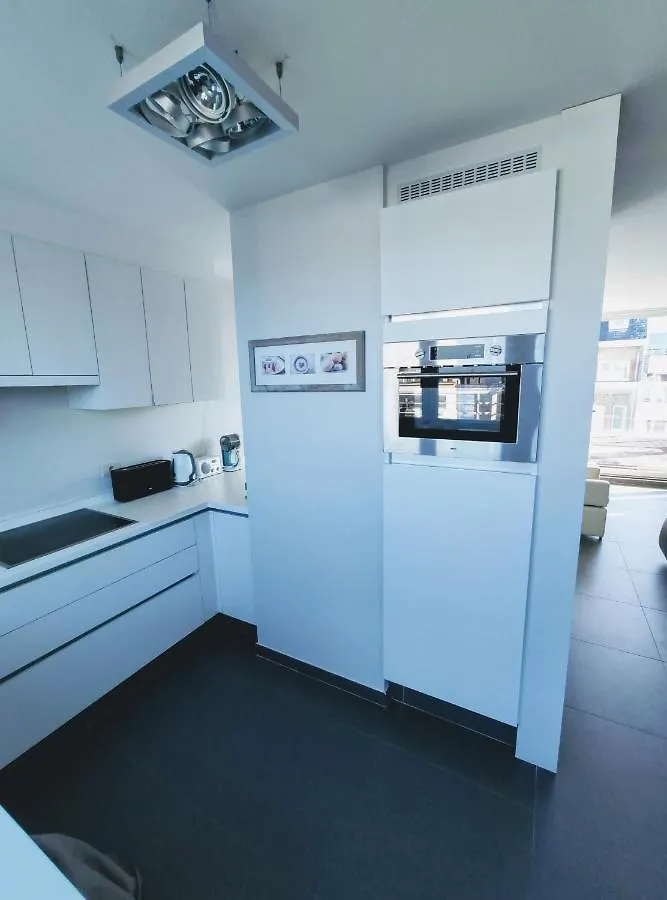 Penthouse Met Groot Terras Oostende 公寓