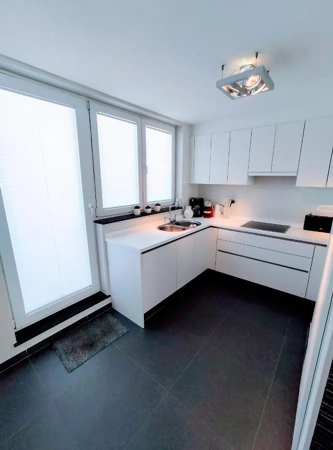 Penthouse Met Groot Terras Oostende 公寓 奥斯滕德